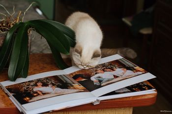 Фотокниги - TatStudio